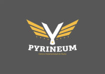 pyrineum escuela de ultraligeros